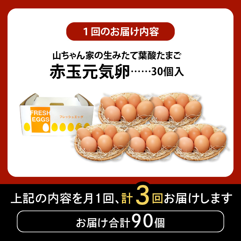 【3ヶ月定期便】【山ちゃん家の生みたて葉酸たまご】赤玉元気卵（30個入り）