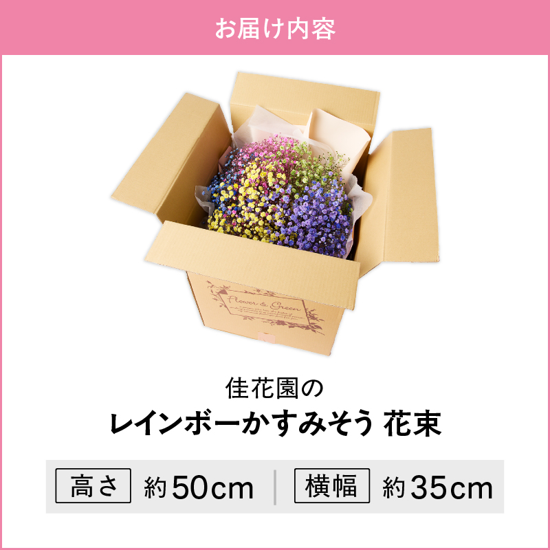 【佳花園】レインボーかすみそう 花束