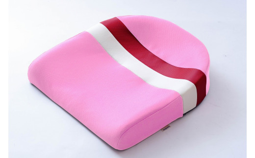 〈訳あり〉スポッとクッションカラー廃番