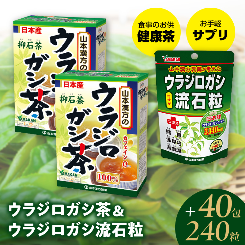 ウラジロガシ茶＆ウラジロガシ 流石粒