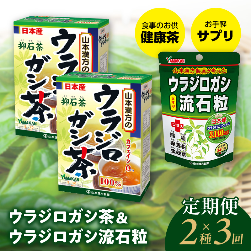 ＜3ヶ月連続＞ウラジロガシ茶＆ウラジロガシ 流石粒　山本漢方　定期便