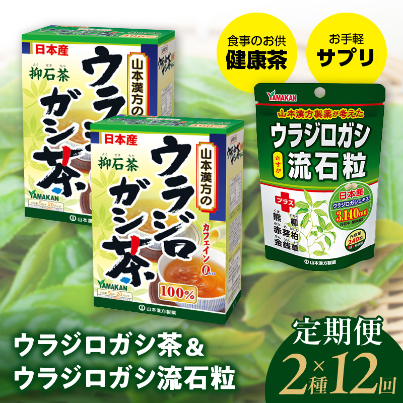 ＜12ヶ月連続＞ウラジロガシ茶＆ウラジロガシ 流石粒　山本漢方　定期便