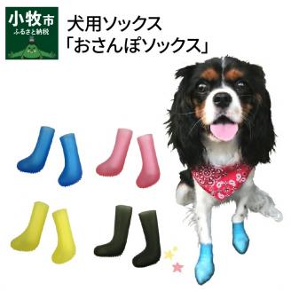犬用ソックス「おさんぽソックス」