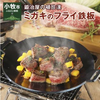 鍛冶屋の頓珍漢　ミガキのフライ鉄板　F220S