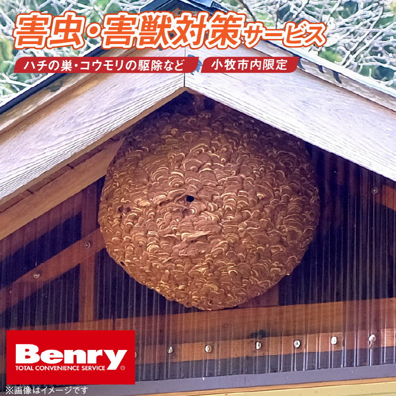 害虫、害獣対策サービス