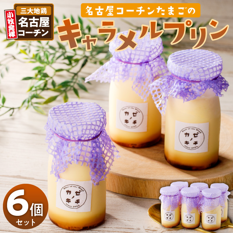 名古屋コーチンたまごのキャラメルプリン　6個セット