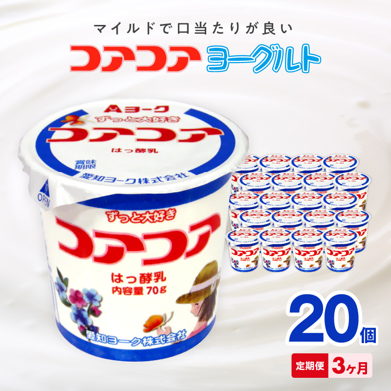 【3ヶ月定期便】愛知ヨーク　コアコアヨーグルト　20個入