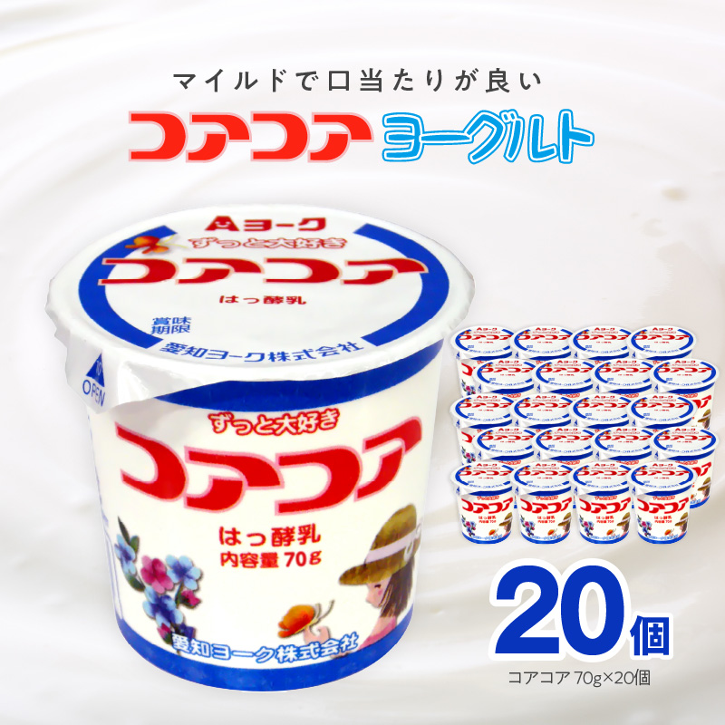 愛知ヨーク　コアコアヨーグルト　20個入　ヨーグルト デザート 健康 給食 保育園 幼稚園 小学校 中学校 支援学校 病院 高齢者施設