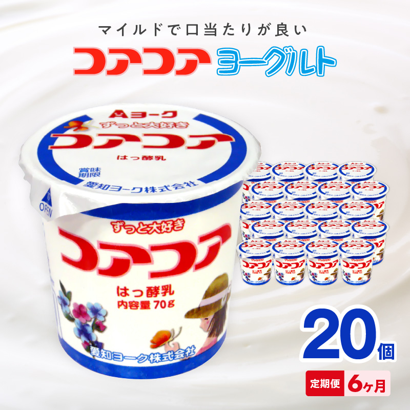 【6ヶ月定期便】愛知ヨーク　コアコアヨーグルト　20個入