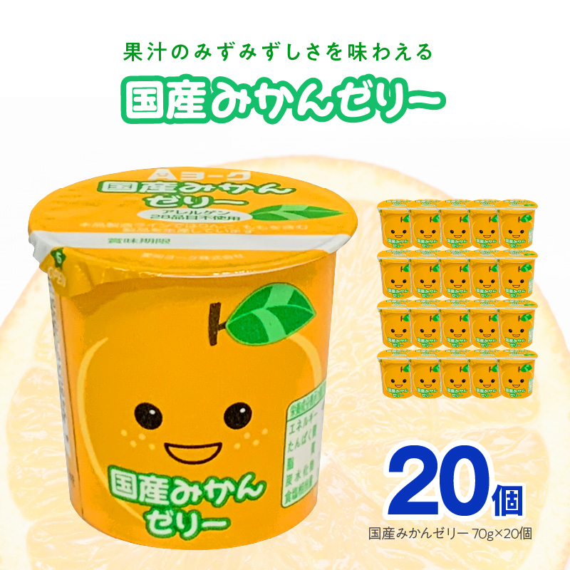 愛知ヨーク　国産みかんゼリー　20個入　ゼリー デザート 国産果汁 アレルギー不使用 健康 給食 保育園 幼稚園 小学校 中学校 支援学校 病院 高齢者施設