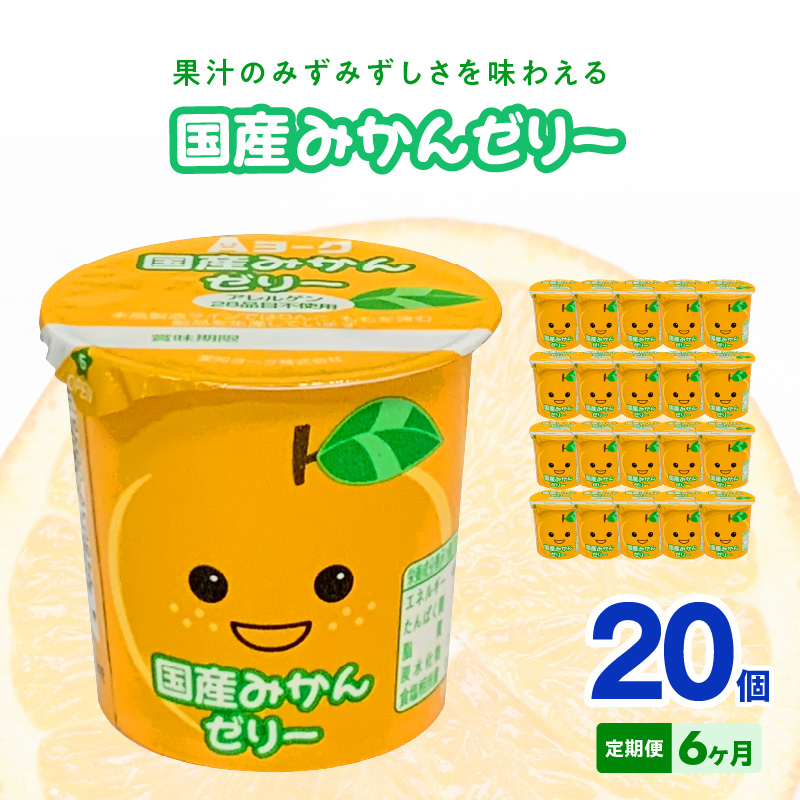【6ヶ月定期便】愛知ヨーク　国産みかんゼリー　20個入