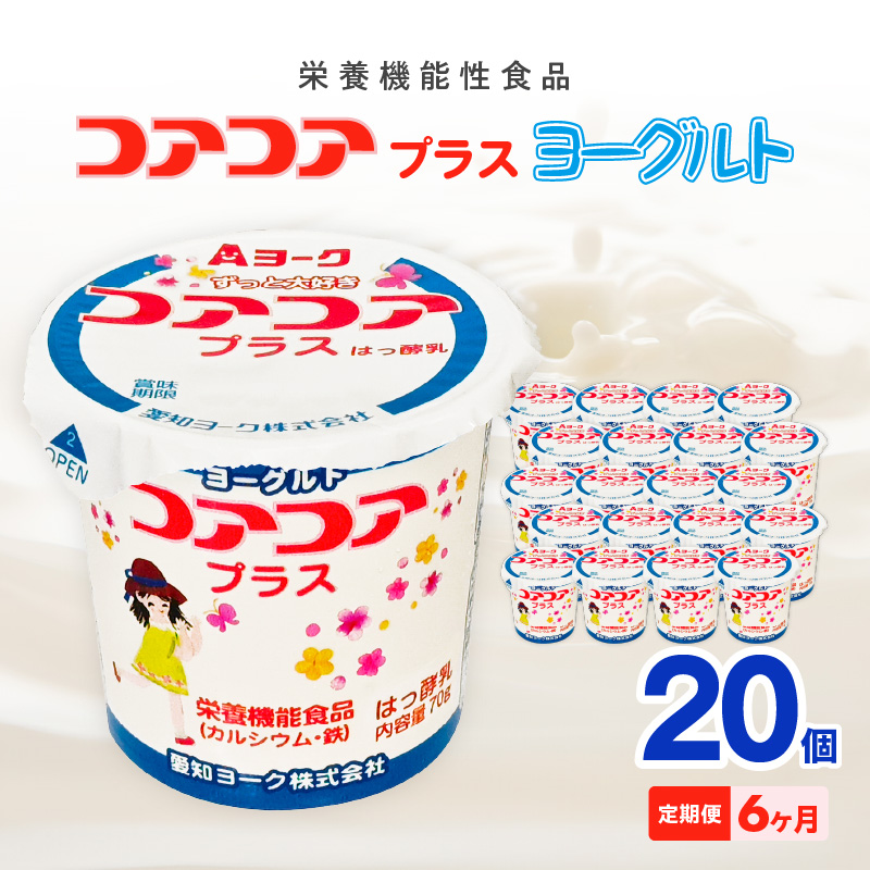 【6ヶ月定期便】愛知ヨーク　コアコアプラスヨーグルト　20個入