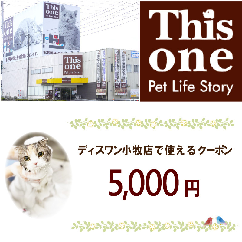 ディスワン小牧店で使えるクーポン券(5,000円)