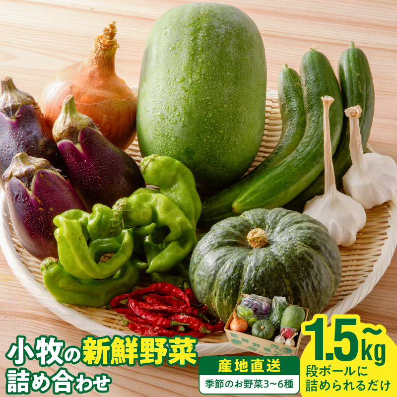 ネオコスモ農園で採れた小牧の野菜詰め合わせ