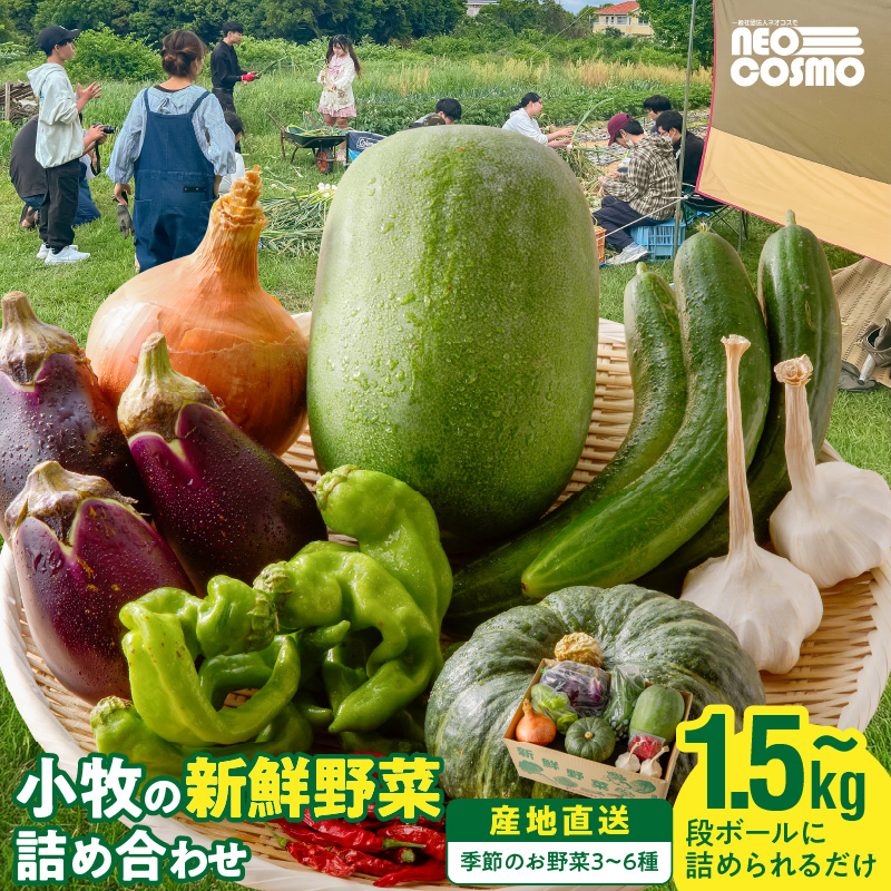 ★障がい者支援施設応援品★ ネオコスモ農園で採れた小牧の野菜詰め合わせ