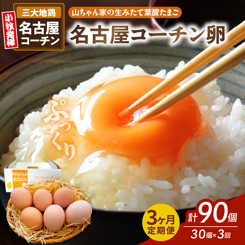 【3ヶ月定期便】【山ちゃん家の生みたて葉酸たまご】名古屋コーチン卵（30個入り）