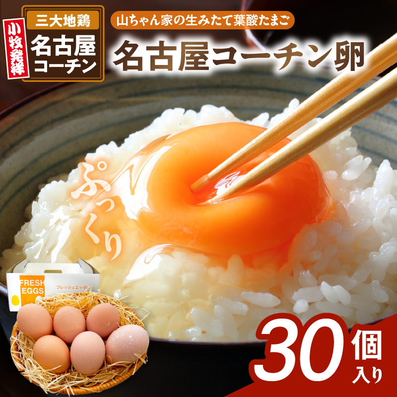 【山ちゃん家の生みたて葉酸たまご】名古屋コーチン卵（30個入り）