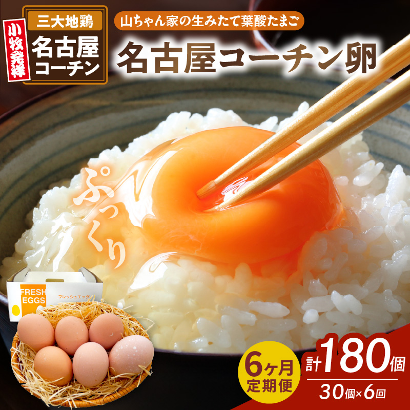 【6ヶ月定期便】【山ちゃん家の生みたて葉酸たまご】名古屋コーチン卵（30個入り）