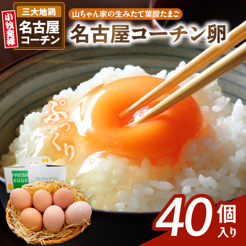 【山ちゃん家の生みたて葉酸たまご】名古屋コーチン卵（40個入り）