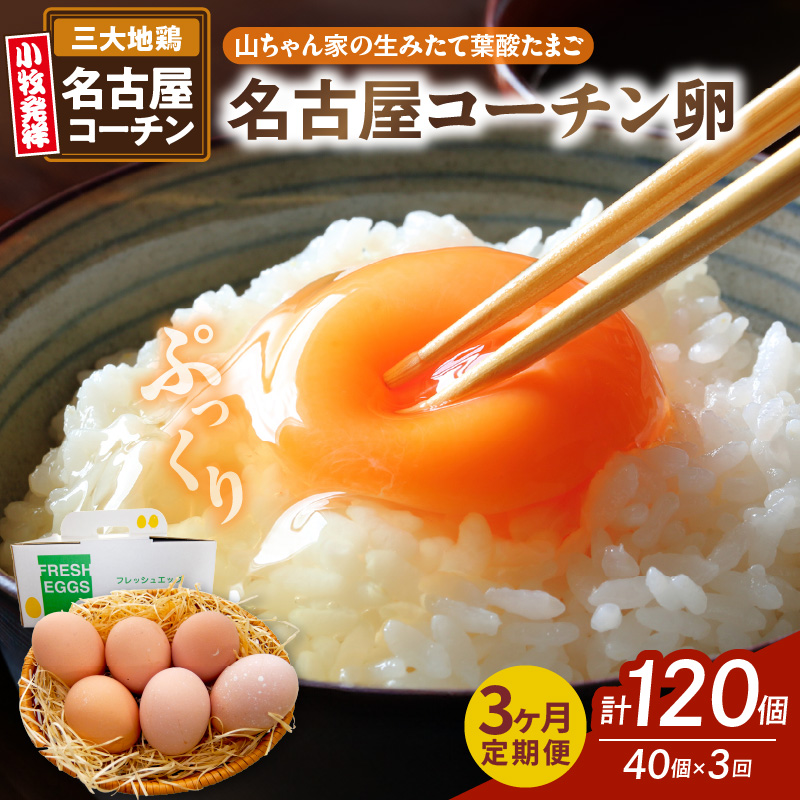 【3ヶ月定期便】【山ちゃん家の生みたて葉酸たまご】名古屋コーチン卵（40個入り）