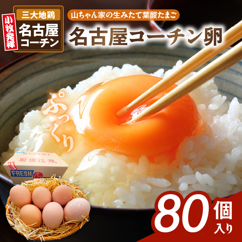 【山ちゃん家の生みたて葉酸たまご】名古屋コーチン卵（80個入り）