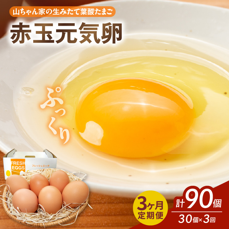 【3ヶ月定期便】【山ちゃん家の生みたて葉酸たまご】赤玉元気卵（30個入り）