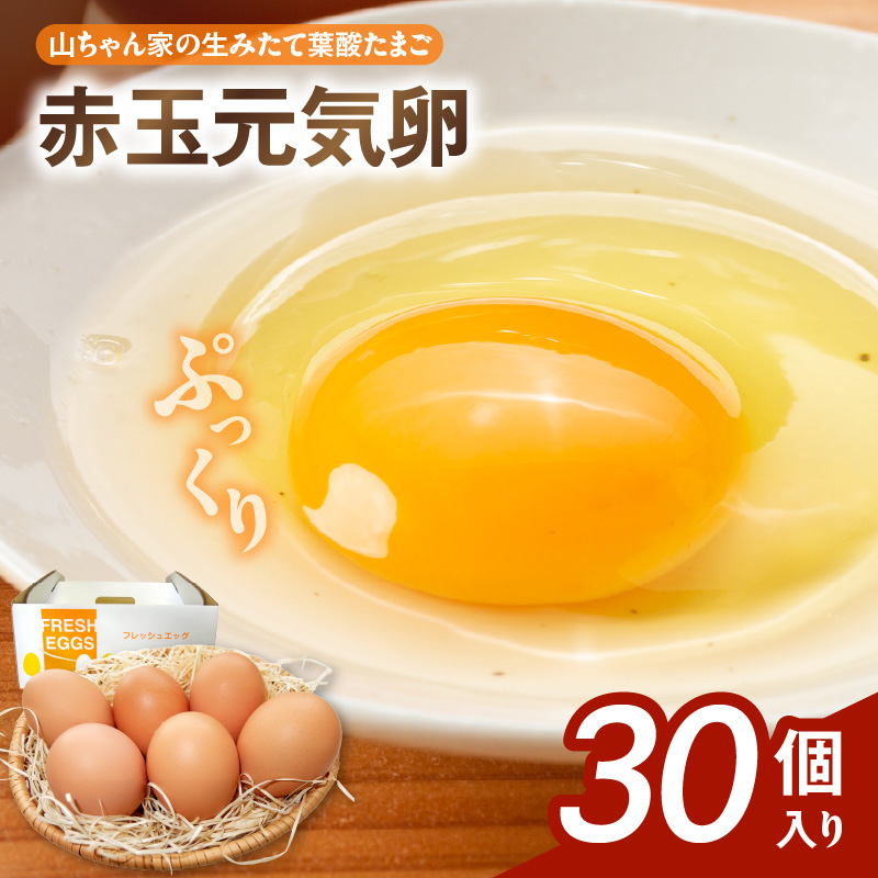 【山ちゃん家の生みたて葉酸たまご】赤玉元気卵（30個入り）