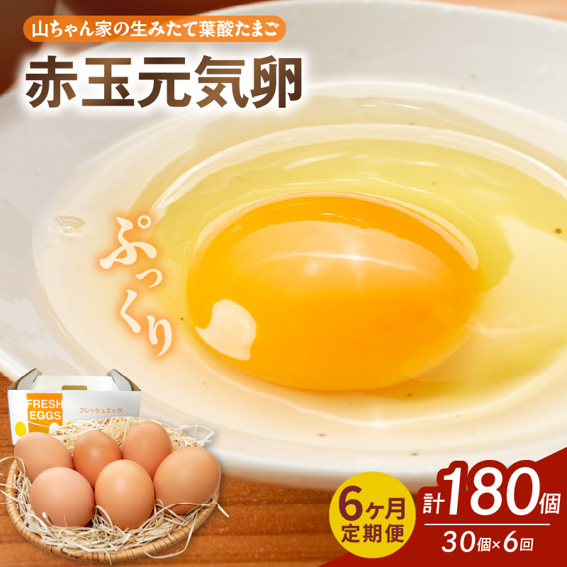 【6ヶ月定期便】【山ちゃん家の生みたて葉酸たまご】赤玉元気卵（30個入り）
