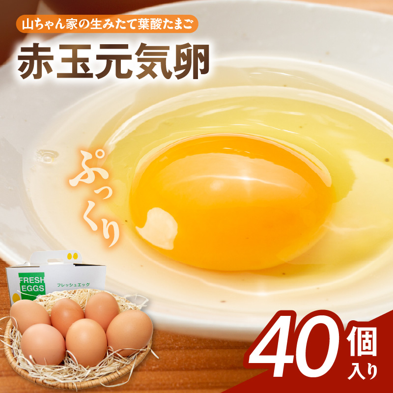 【山ちゃん家の生みたて葉酸たまご】赤玉元気卵（40個入り）