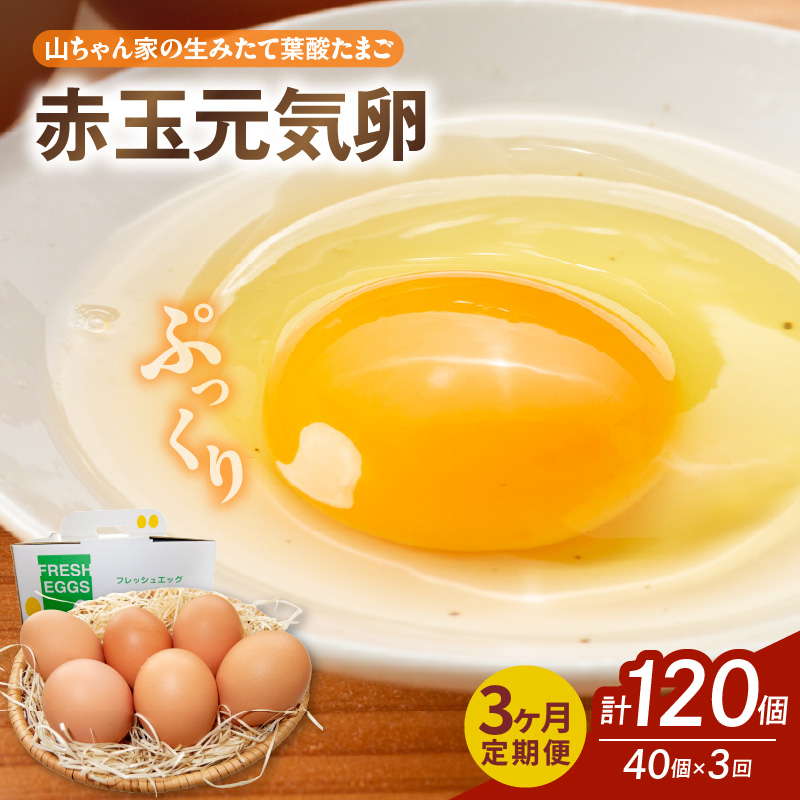 【3ヶ月定期便】【山ちゃん家の生みたて葉酸たまご】赤玉元気卵（40個入り）