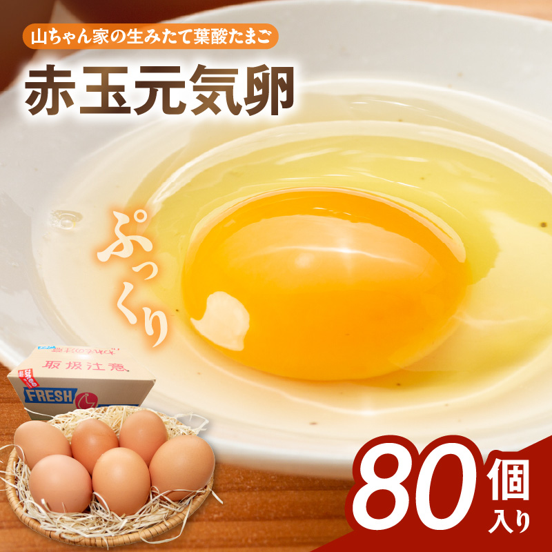【山ちゃん家の生みたて葉酸たまご】赤玉元気卵（80個入り）