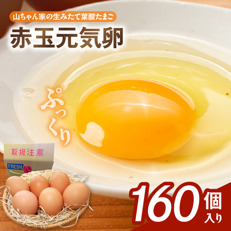 【山ちゃん家の生みたて葉酸たまご】赤玉元気卵（160個入り）