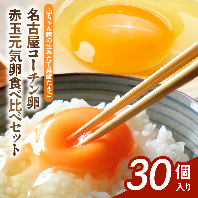【山ちゃん家の生みたて葉酸たまご】名古屋コーチン卵・赤玉元気卵 食べ比べセット（各15個 合計30個入り） 山ちゃん家 生みたて 葉酸たまご 名古屋コーチン卵 赤玉元気卵 食べ比べ セット 各 15個 合計 30個 入り 卵 地鶏 朝食 卵焼き 目玉焼き オムライス ゆでたまご 山田養鶏 お取り寄せ 愛知県 小牧市 送料無料