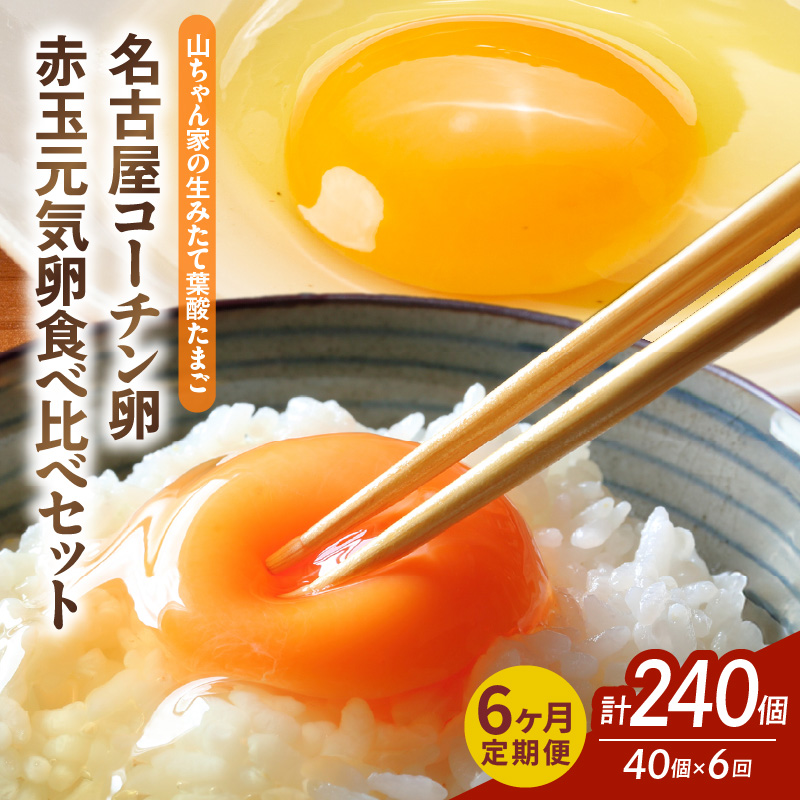 【6ヶ月定期便】【山ちゃん家の生みたて葉酸たまご】名古屋コーチン卵・赤玉元気卵 食べ比べセット（各20個 合計40個入り） 6ヶ月定期便 山ちゃん家 生みたて 葉酸たまご 名古屋コーチン卵 赤玉元気卵 食べ比べ セット 各 20個 合計 40個 入り 地鶏 卵 朝食 卵焼き 目玉焼き オムライス ゆでたまご 山田養鶏 お取り寄せ 愛知県 小牧市 送料無料
