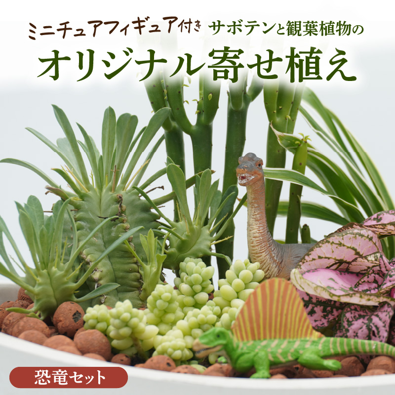 サボテンと観葉植物のオリジナル寄せ植え【恐竜セット】