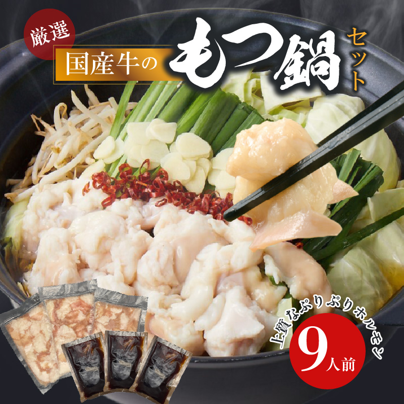 【食肉総合卸 丸正】厳選国産牛のもつ鍋セット（9人前）