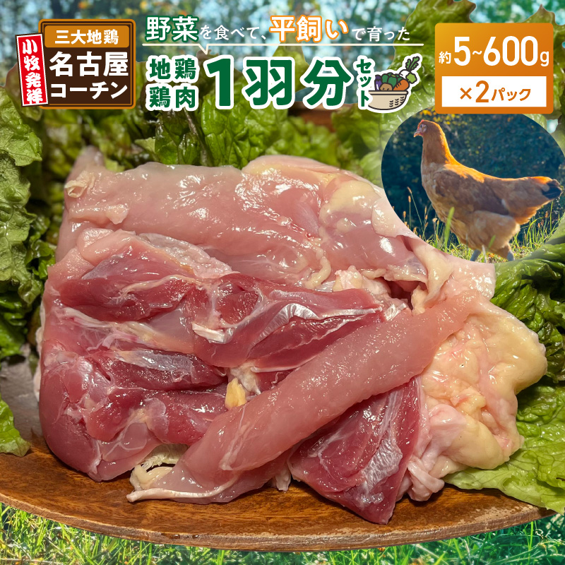 『スマイルファーム桃花台』名古屋コーチン肉 １羽分セット