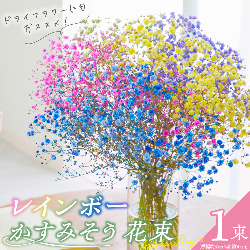 【佳花園】レインボーかすみそう 花束