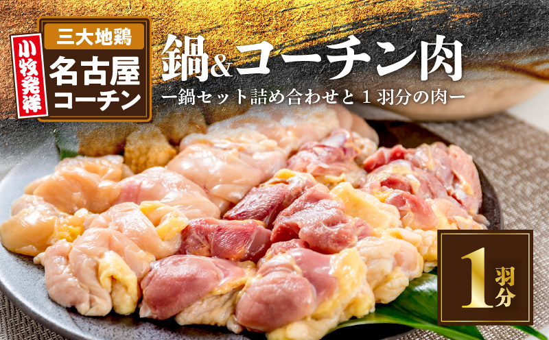 名古屋コーチン鍋 セット & 名古屋コーチン 1羽分 鶏肉 700g 以上 詰め合わせ 日本三大地鶏 小牧発祥 地鶏 鶏 もも肉 むね肉 ささみ 肉団子 鍋 鶏鍋 贅沢 ご褒美 スープ付き 食感 コク 旨み 料理 お取り寄せ お取り寄せグルメ 食品 送料無料