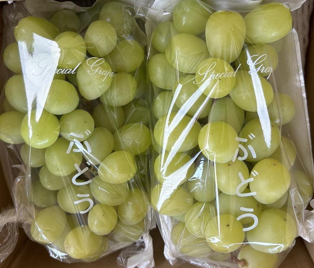 完熟シャインマスカット（通常品） 2kg