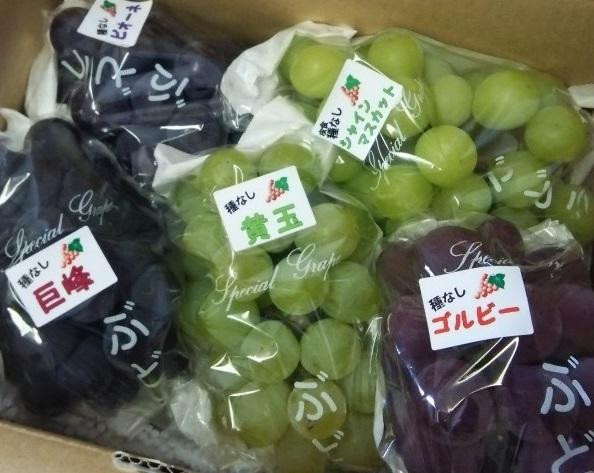 完熟シャインマスカット入り種無しぶどう詰め合わせ 2kg