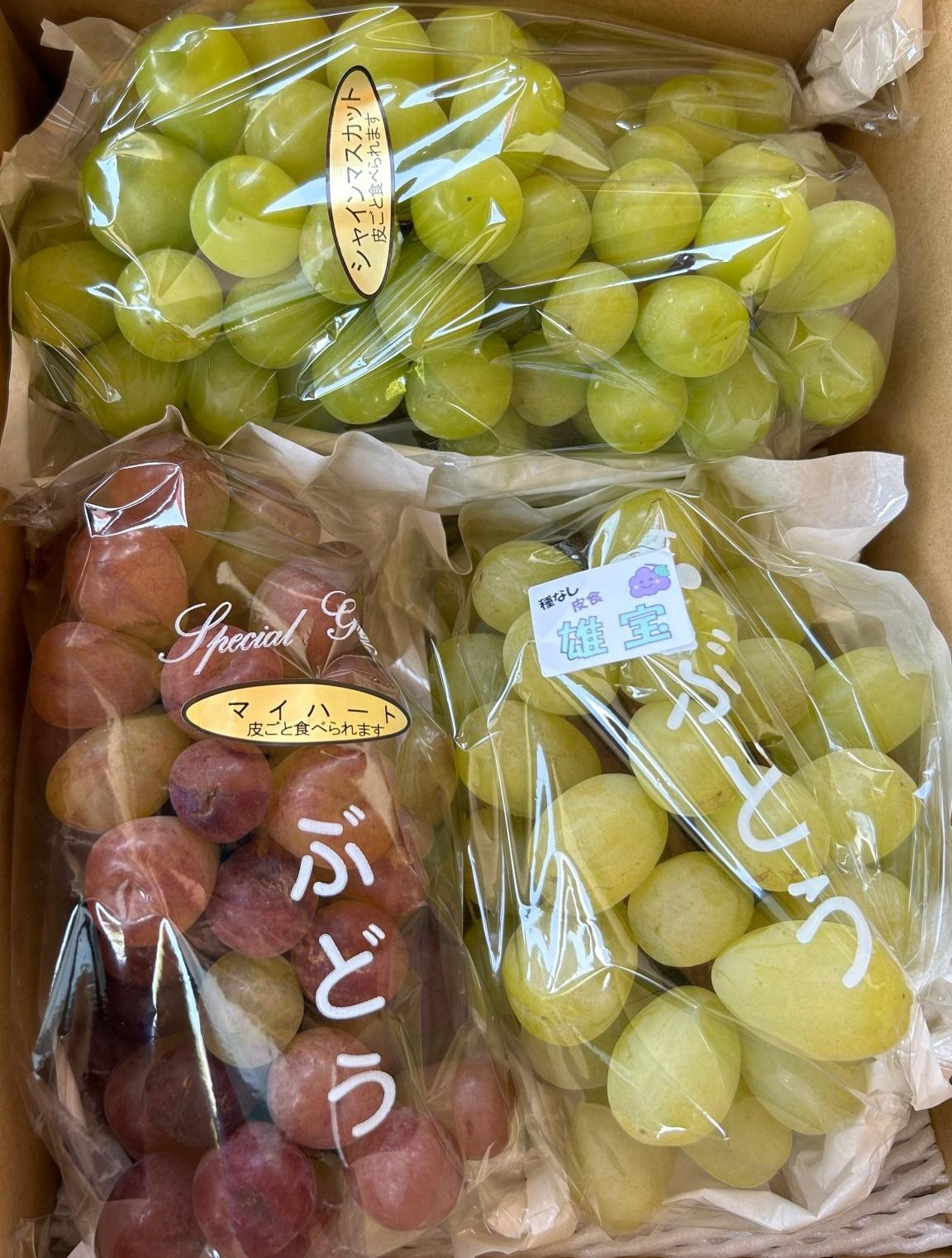 皮ごと食べられる！種無しぶどう詰め合わせプレミアムセット(完熟シャインマスカット・雄宝・マイハート) 2kg