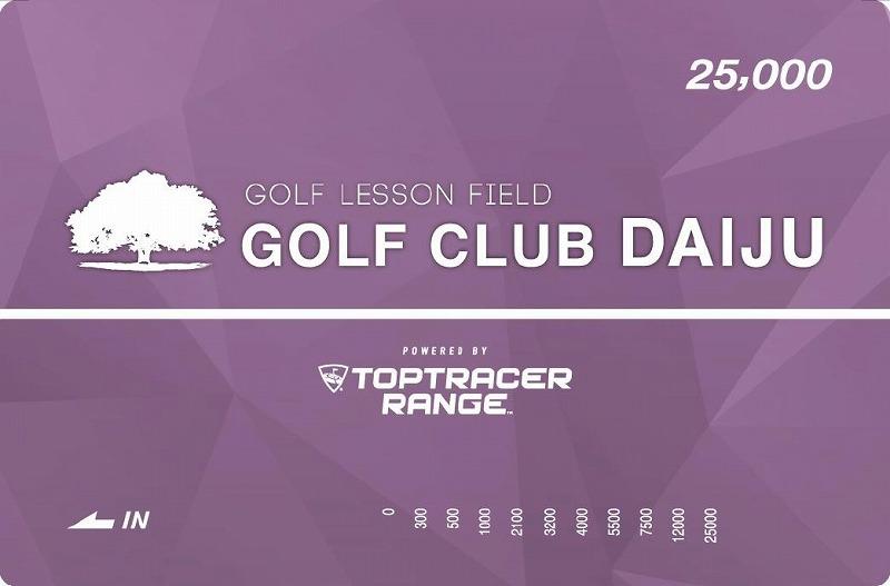 【日本最大級 400打席 ゴルフ練習場】ゴルフ倶楽部大樹 大府店 施設利用券 【25,000円分】