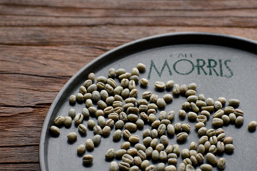 豆＜カフェモーリス厳選＞希少！ピーベリーコーヒー3種マスターおすすめ飲み比べ