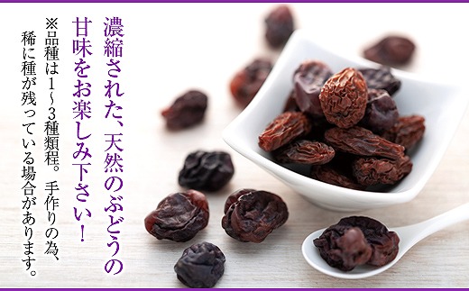 国産無添加・干しぶどう（大府産ぶどう使用）