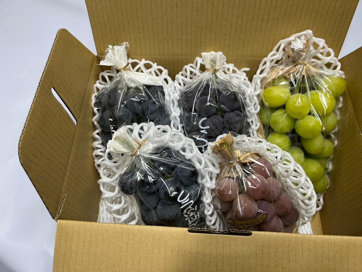 【2026年度_先行予約】【ご家庭用】ぶどう食べ比べセット 約2kg〔2026年8月中旬より順次発送〕