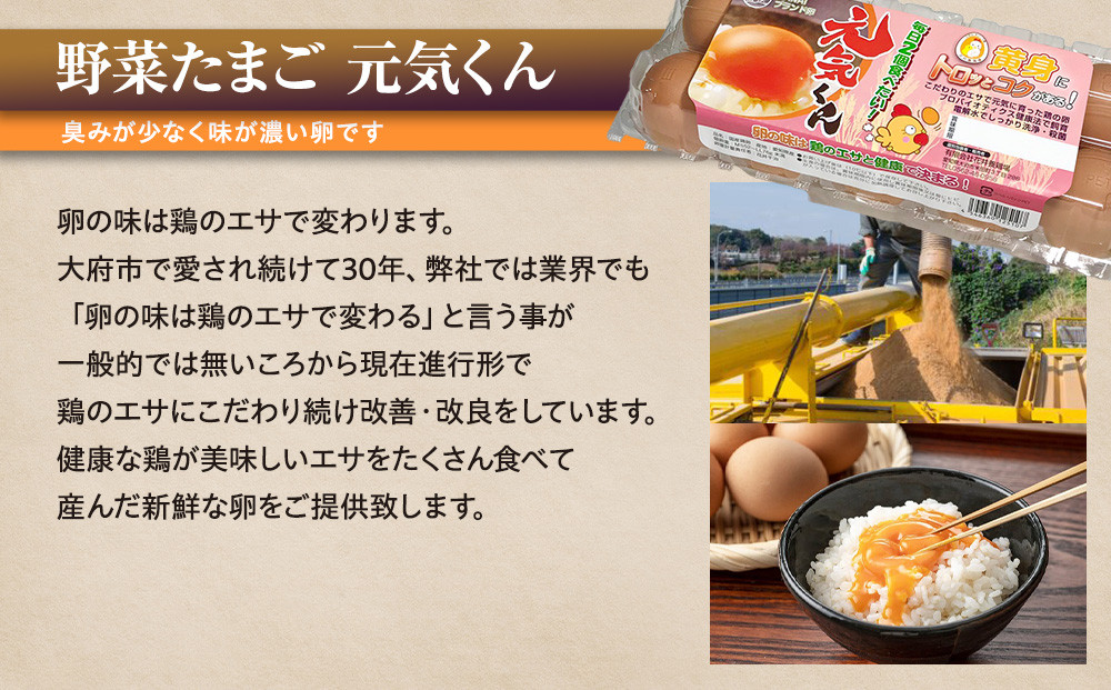 愛され続けて30年 「野菜たまご 元気くん」（40個） 日々のお料理がワンランクアップ!!