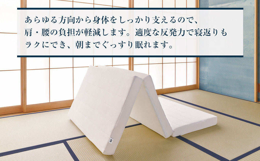 スマートZ01　特別仕様 シングル