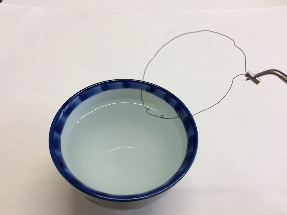 お湯につけると形が戻る!? 「形状記憶合金 干支2個セット」