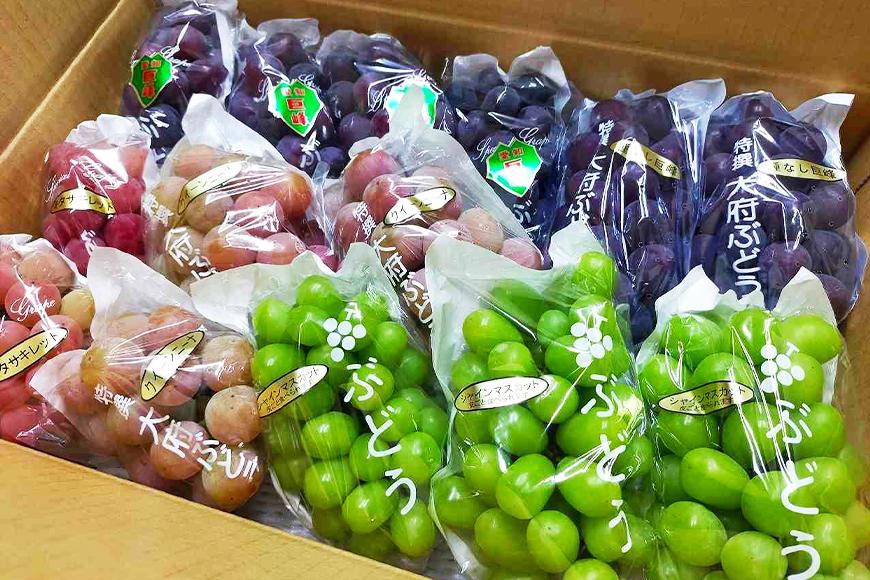 【2026年先行予約・数量限定】園主おまかせ特選ぶどう詰合せ 約２kg  (当園栽培16品種の中より厳選) ＜2026年8月中旬～発送＞